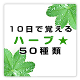 10日で覚えるハーブ★50種類！ free ～プチまな～ icon