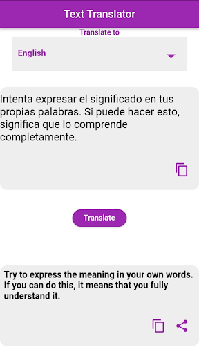 Spanish - English Translator Screen 3