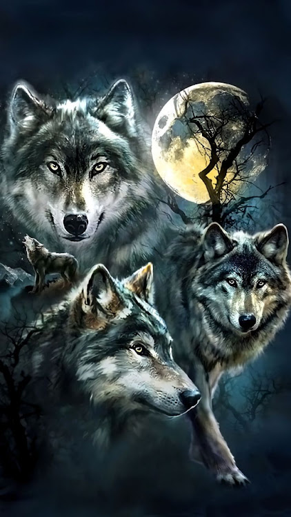 Wolf - Wallpapers - 2.0 - (Android)