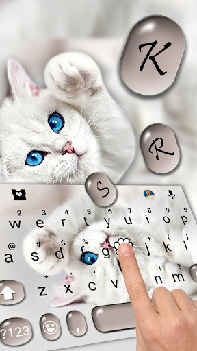 Innocent Cute Cat Theme Screen 2