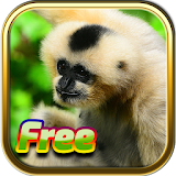 Free Animal Games icon