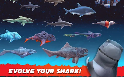 Shark evolution best sale 2