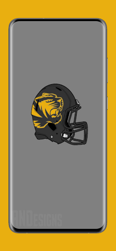 Missouri Tigers football fans