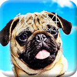 Pug Dog App Lock icon