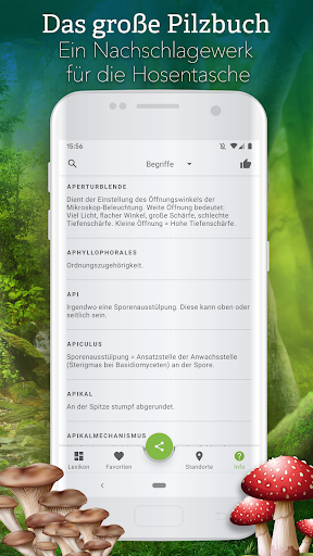 Pilze 123 screenshot 6