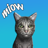 Pet Cat - Virtual Pet icon