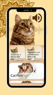 Cat Sounds Meow App Offline