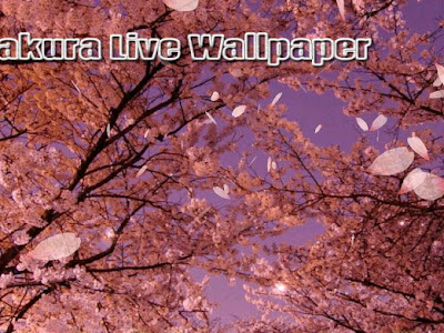 [最も好ましい] 桜 ライブ 壁紙 275817