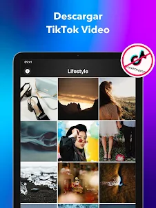 TikDown Descargar TikTok Video