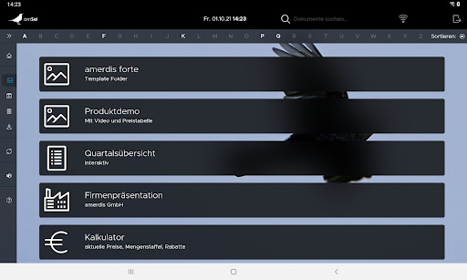 amSel - amerdis Sells player Screen 2