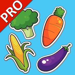 Obrázek ikony Vegetables Cards PRO