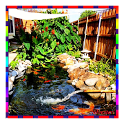 fish pond ideas