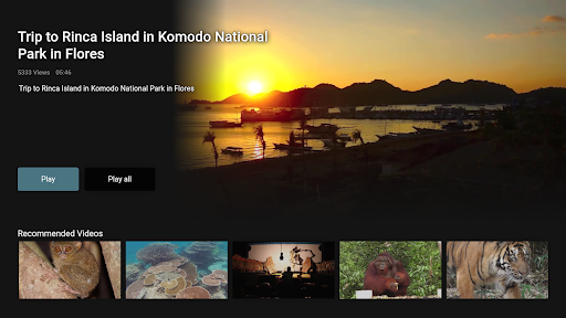 The Indonesia Channel Screen 3