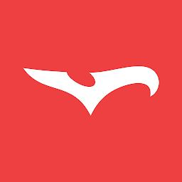 JerseyBird: Download & Review