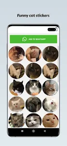 Funny Cat Stickers-WAStickers