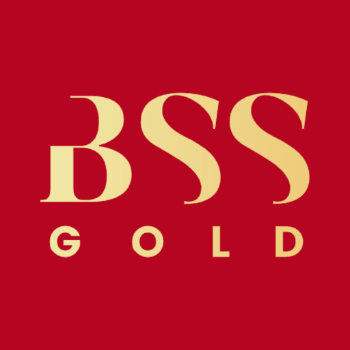 BSS Gold Download on Windows