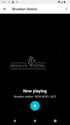 Brooklyn Station Screen 3