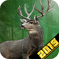 Big Buck 3D Deer Hunting Games