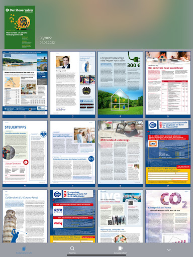 DER STEUERZAHLER Screen 3