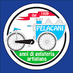 Cover Image of 下载 Gelateria Pelacani Lido  APK