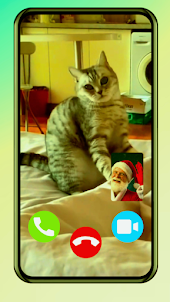 Cat fake video call