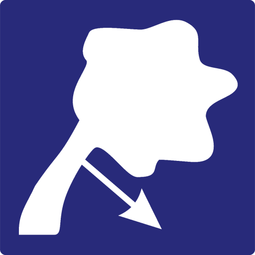 PTQ.App logo