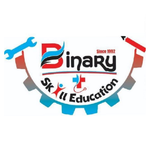 Binaryskill logo