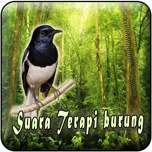 Terapi Burung MP3 Offline - AppWisp.com