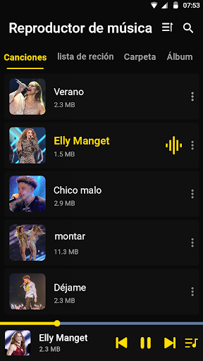 Vista previa de la aplicación