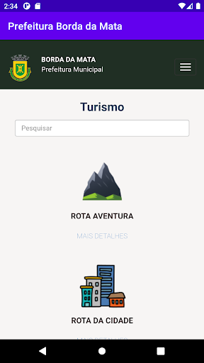Prefeitura Borda da Mata Screen 3