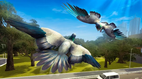 City Bird Pigeon Simulator 3D For PC installation