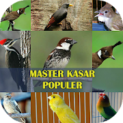 Master Burung Kasar Populer