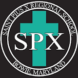 St. Pius X icon