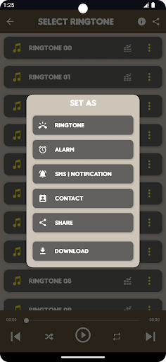 iphone all ringtones offline
