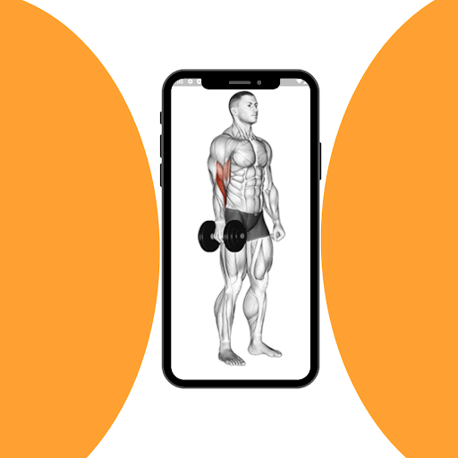 Android application Gym Demo (fitness ,body fit) screenshort
