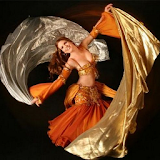Iranian Dance Music Collection icon