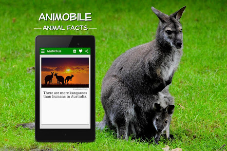 Funny Animal Facts with Pictures 6.6 APK screenshots 8