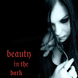 Beauty in the Dark (Kaskus sfth) icon