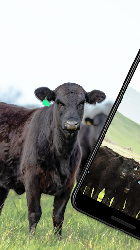 Android application Livestock Loader screenshort