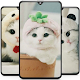 Cute Cat Wallpaper - Kitten Wallpapers Download on Windows