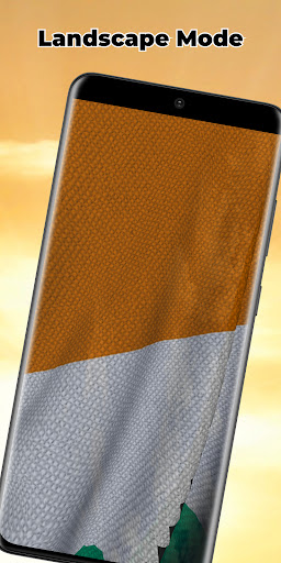Ivory Coast Flag Live Wall Screen 3