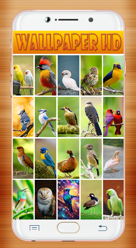 Bird Wallpaper HD screenshot 9