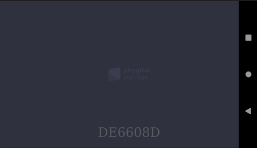 Phygital Signage Player Screen 2