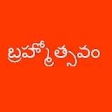 Brahmotsavam icon