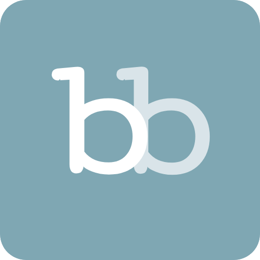 BetBin logo