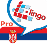 L-Lingo Learn Serbian Pro icon