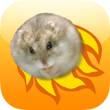 Hamster Basket icon