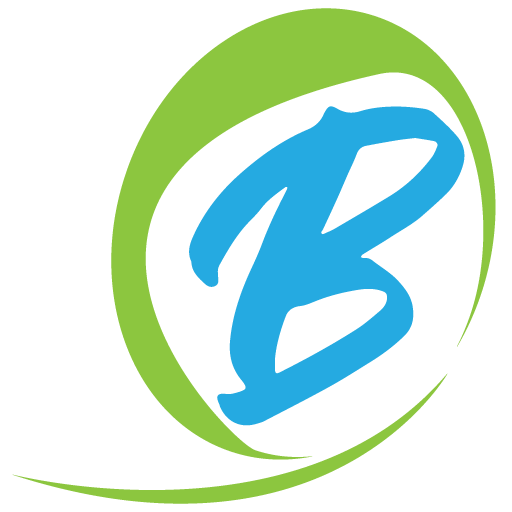 Bling Logistics Network logo
