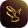 BSocial Events Download on Windows