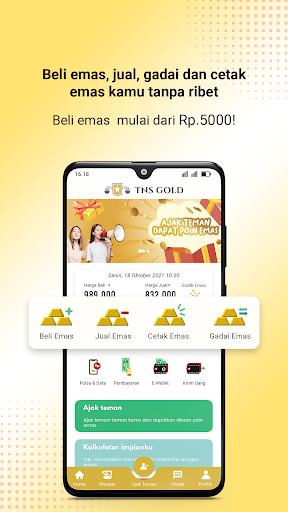 TNS Gold Screen 3